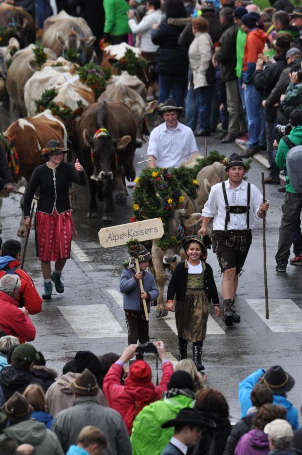 Pension Alpenblick Steeg Bagian luar foto
