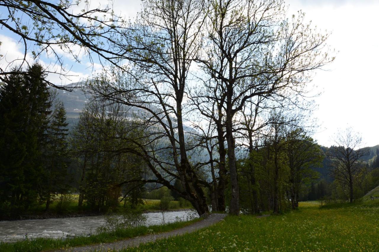 Pension Alpenblick Steeg Bagian luar foto